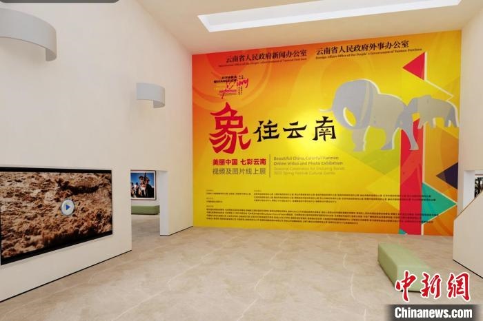 圖為“象”往云南——美麗中國(guó) 七彩云南視頻及圖片線上展截圖?！『h(yuǎn)航 攝