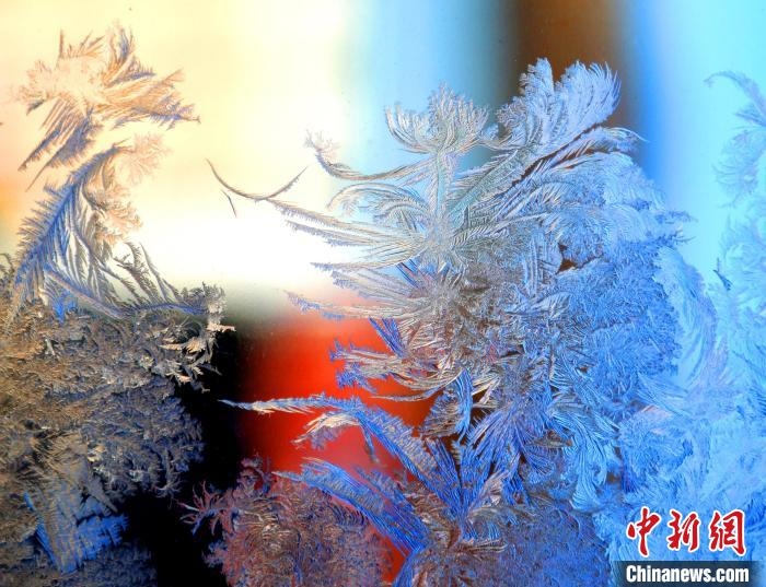 冰窗花千姿百態(tài)?！O書程 攝
