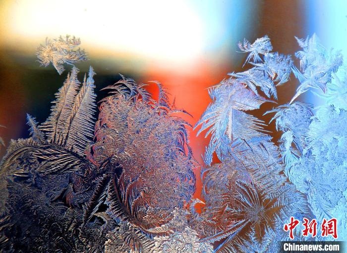 惟妙惟肖的冰窗花，似一幅風(fēng)景畫?！O書程 攝