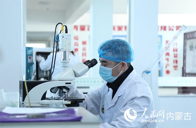 內(nèi)蒙古中農(nóng)興安種?？萍加邢薰韭鋺艨朴抑衅欤瑸槿馀．a(chǎn)業(yè)發(fā)展提供了優(yōu)質(zhì)的種源保障。白俊華攝