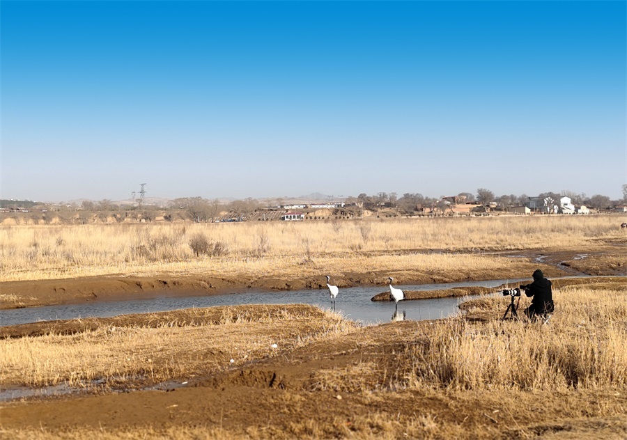 悠閑地享受著人間煙火氣息，卻又不失仙氣飄飄.jpg
