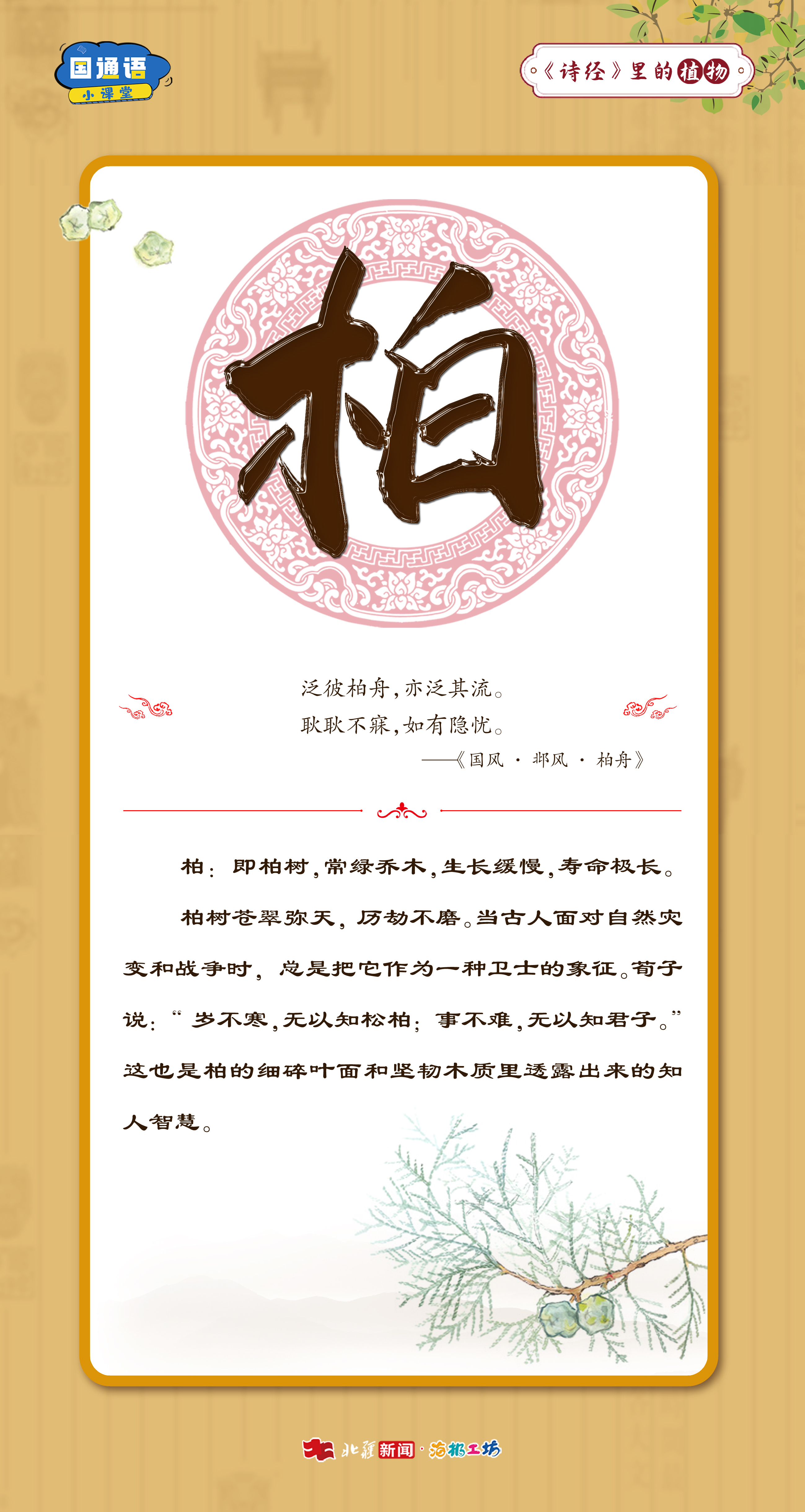 12.16詩經(jīng)里的植物5.jpg
