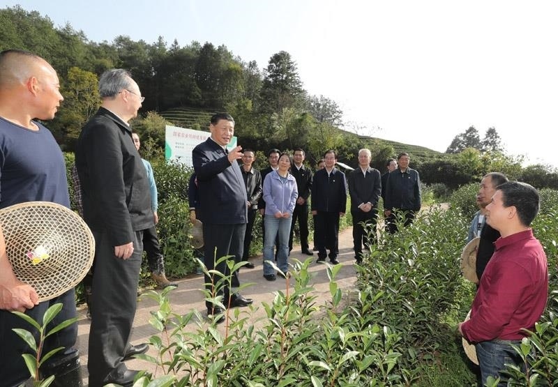 2021年3月22日，習(xí)近平總書(shū)記在福建南平武夷山市星村鎮(zhèn)燕子窠生態(tài)茶園，同科技特派員、茶農(nóng)親切交流，了解當(dāng)?shù)夭璁a(chǎn)業(yè)發(fā)展情況。