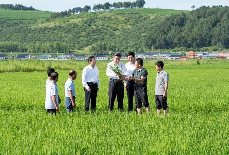 2015年7月16日，習(xí)近平總書(shū)記在吉林延邊州光東村稻田同村民和農(nóng)技人員交流。