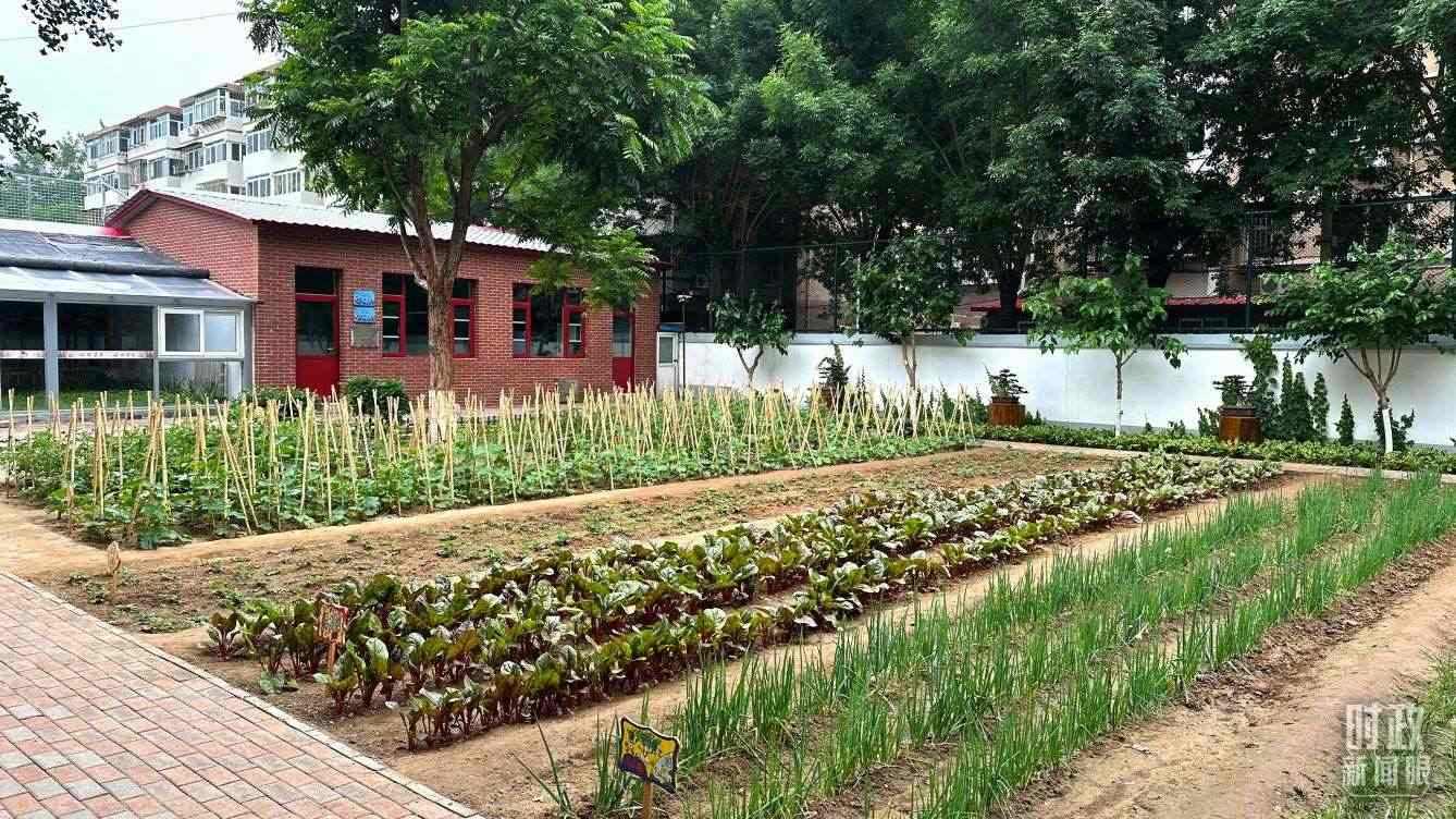 △學(xué)生農(nóng)場(chǎng)。（總臺(tái)央視記者趙化拍攝）