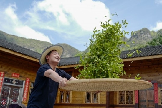 2023年4月19日，重慶市南川區(qū)德隆鎮(zhèn)茶樹(shù)村一個(gè)居民點(diǎn)，制茶工藝傳承人在幫助村民翻曬新鮮茶葉。