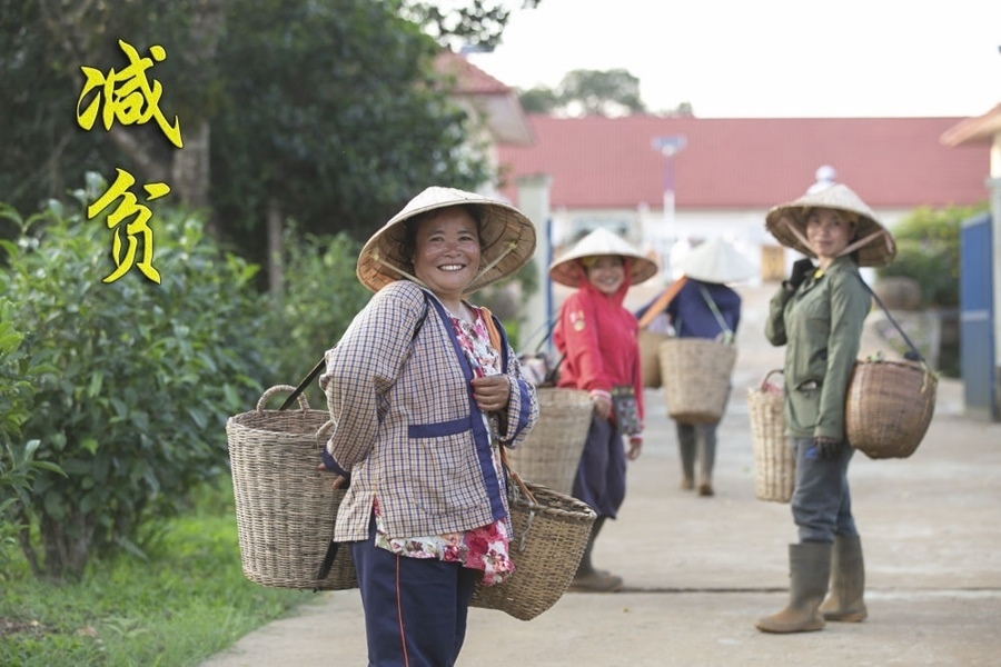 村民到老撾南部波羅芬高原上的36莊園茶廠售賣(mài)茶葉（2022年3月25日攝）。中資公司老撾36莊園有限公司近年來(lái)在老撾南部高原開(kāi)發(fā)當(dāng)?shù)毓挪铇?shù)資源，以中國(guó)工藝制茶，依靠茶產(chǎn)業(yè)帶動(dòng)當(dāng)?shù)匕傩彰撠氈赂弧? width=