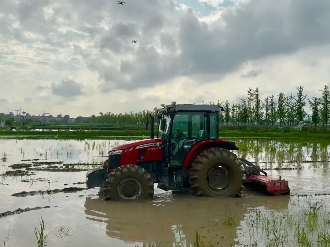 浙江省金華市東陽市城東街道寀盧村的一臺(tái)無人駕駛耕地機(jī)。靜玄 攝