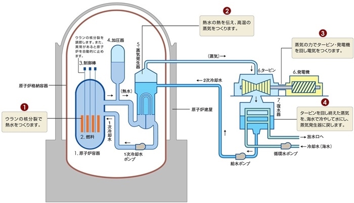 核電站運(yùn)作原理圖。通常的核電站排水未直接接觸核燃料。（圖片來(lái)源：日本北海道電力株式會(huì)社網(wǎng)站）