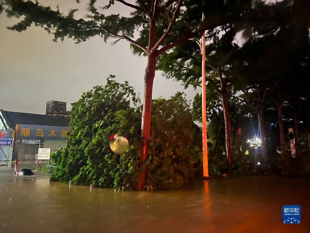 7月17日晚，在廣東湛江海濱大道北，路邊的樹木被風刮倒（手機照片）。新華社記者 鄧華 攝