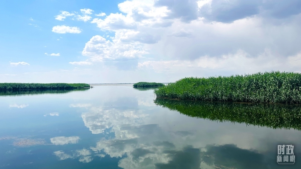 內(nèi)蒙古烏梁素海，是黃河流域最大的湖泊濕地。（總臺(tái)央視記者范一鳴拍攝）