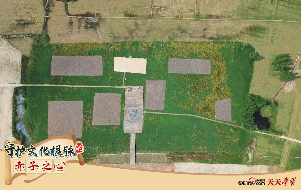 2019年6月23日無(wú)人機(jī)拍攝的良渚國(guó)家考古遺址公園的宮殿區(qū)。