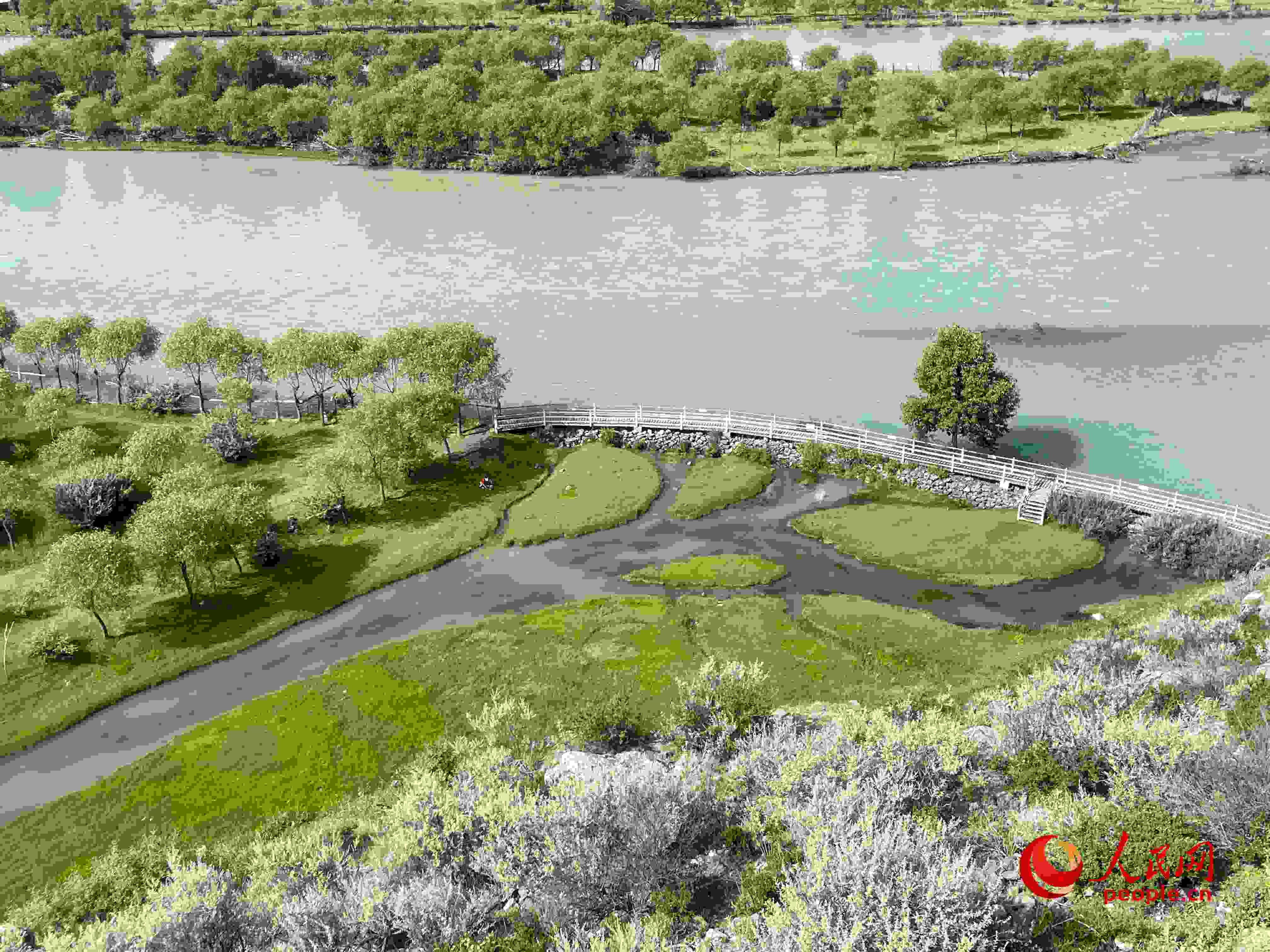 夏日的雅尼國家濕地公園生機(jī)盎然，如詩如畫。人民網(wǎng) 周靜圓攝