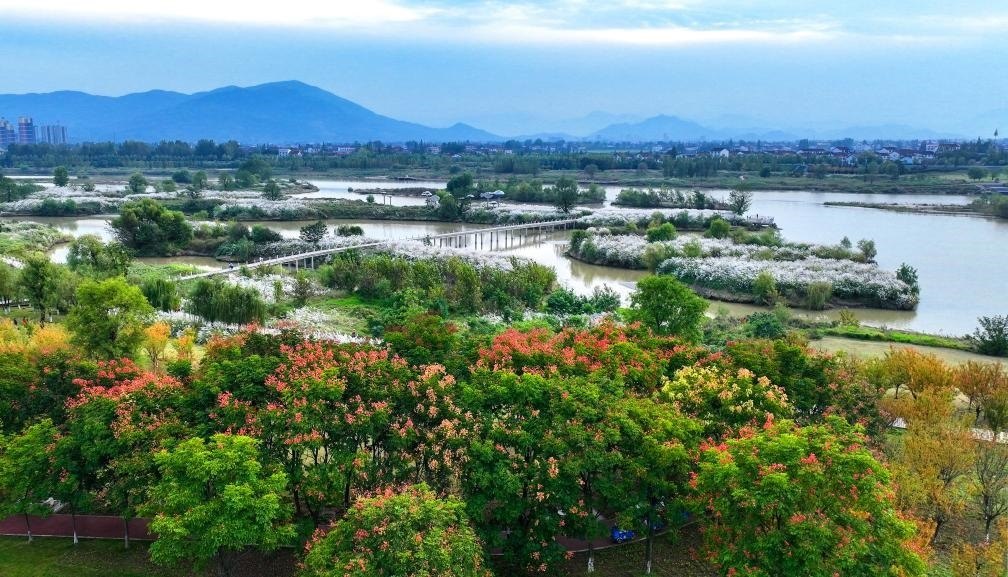 2022年10月11日拍攝的天漢濕地公園景色。新華社發(fā)（宋曉麗 攝）