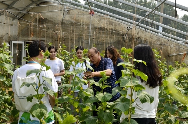 大學(xué)生走進(jìn)北京平谷開展暑期鄉(xiāng)村實(shí)踐