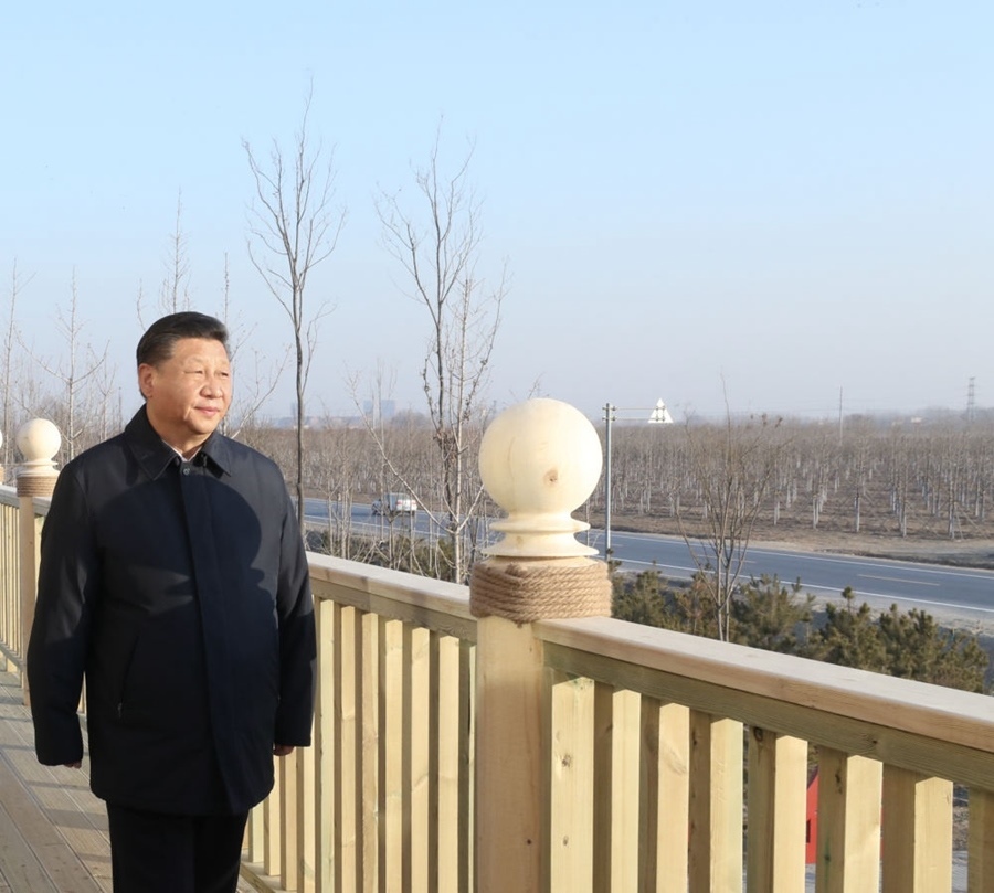 2019年1月16日，習(xí)近平在河北雄安新區(qū)考察調(diào)研。在“千年秀林”大清河片林一區(qū)造林區(qū)域，習(xí)近平登上秀林驛站二層平臺遠眺林區(qū)全貌。