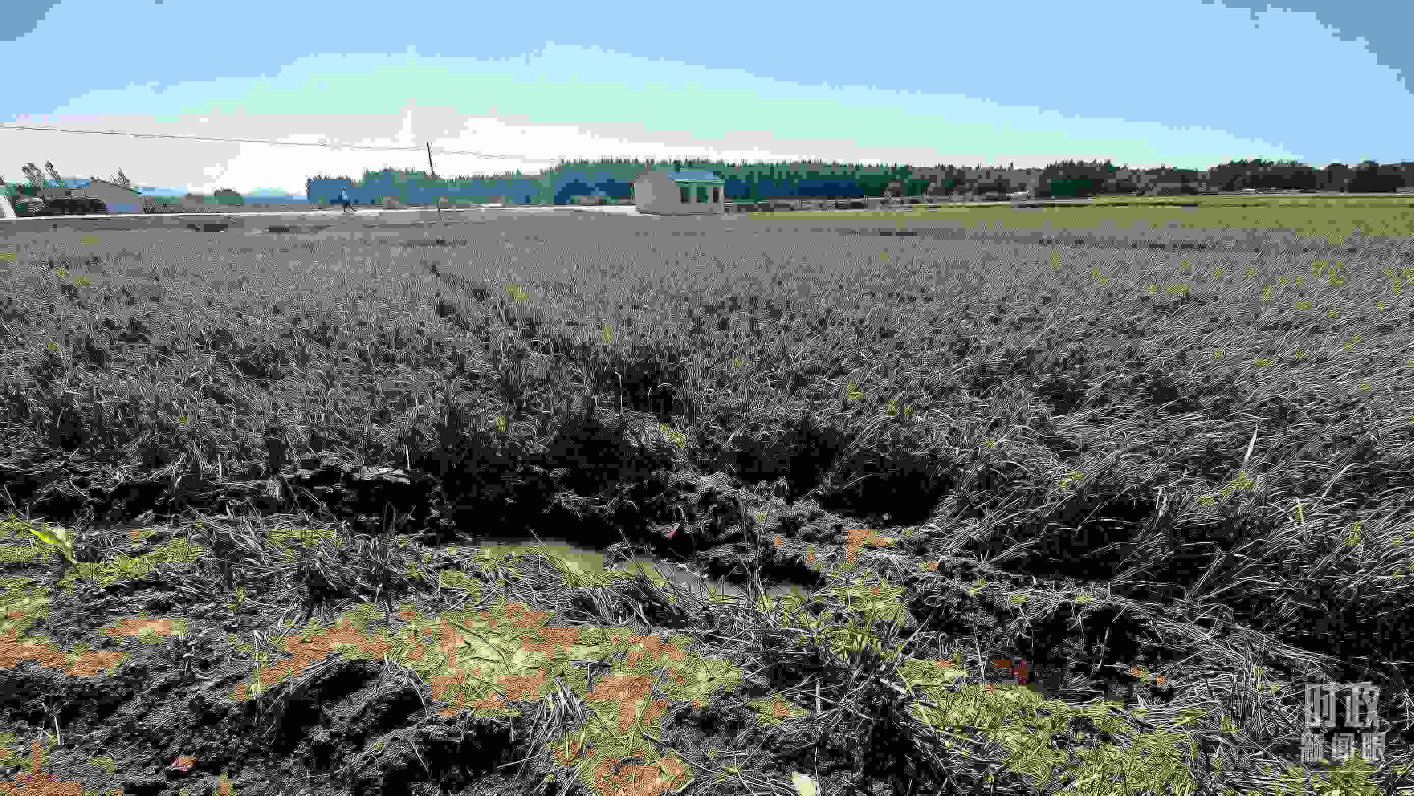 △圖為龍王廟村在洪災(zāi)中受損的農(nóng)田。（總臺(tái)央視記者史偉拍攝）