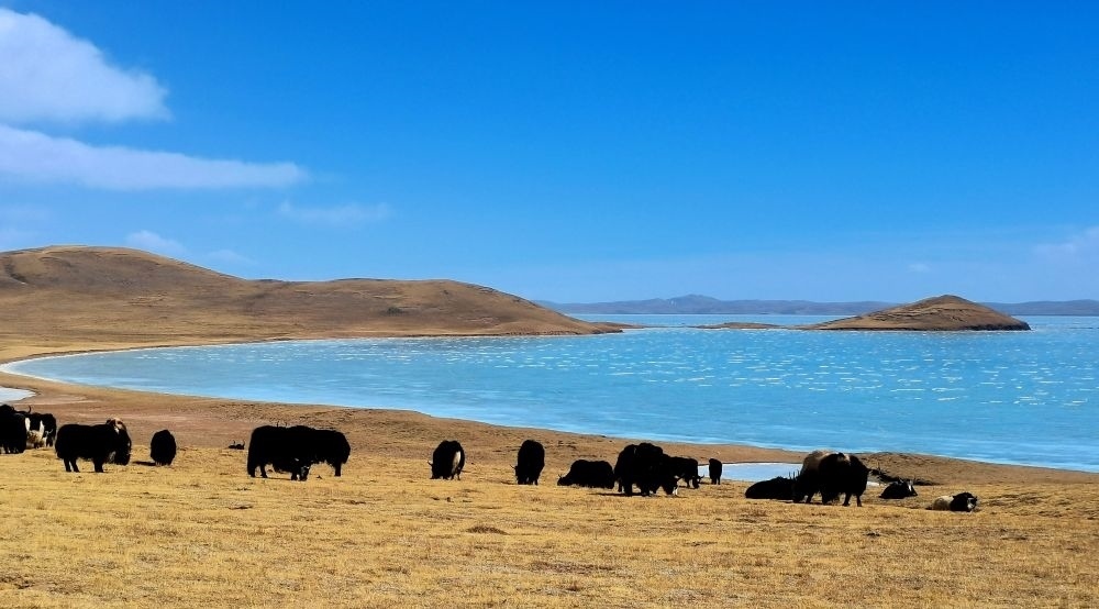 在三江源國家公園黃河源園區(qū)拍攝的扎陵湖風光（2022年3月12日攝）。新華社記者 呂雪莉 攝