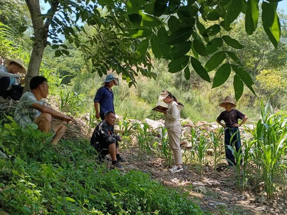 2023年7月18日，兩家村民發(fā)生土地方面的糾紛，李江女（右二）在記錄情況。受訪者供圖