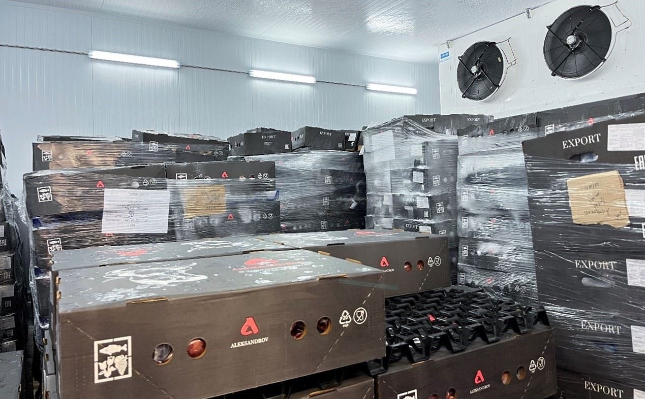 恒溫冷庫(kù)中，包裝好的牛肉等待發(fā)往中國(guó)。人民網(wǎng)記者 朱虹攝