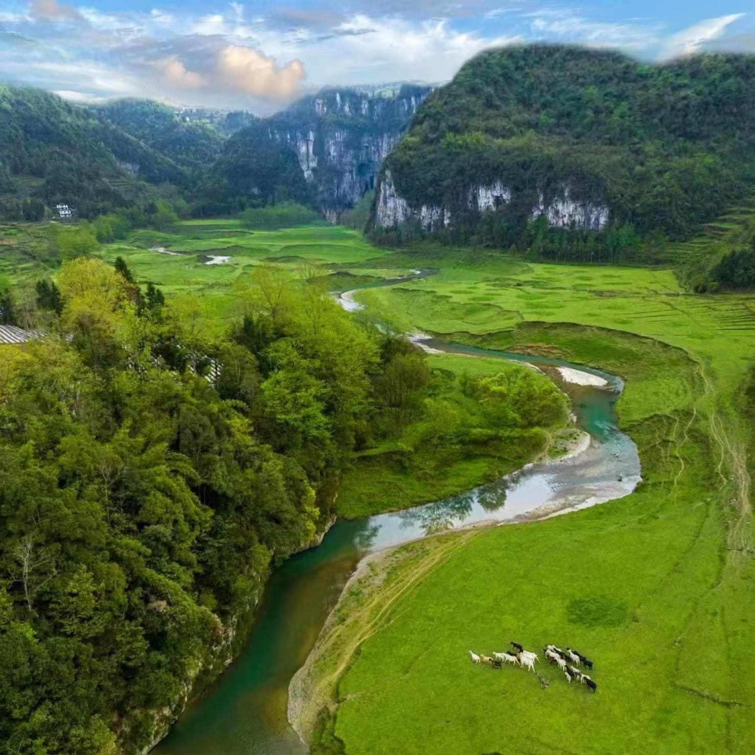 棣棠鄉(xiāng)龍氼孔千畝大草原自駕露營(yíng)基地。棣棠鄉(xiāng)人民政府供圖