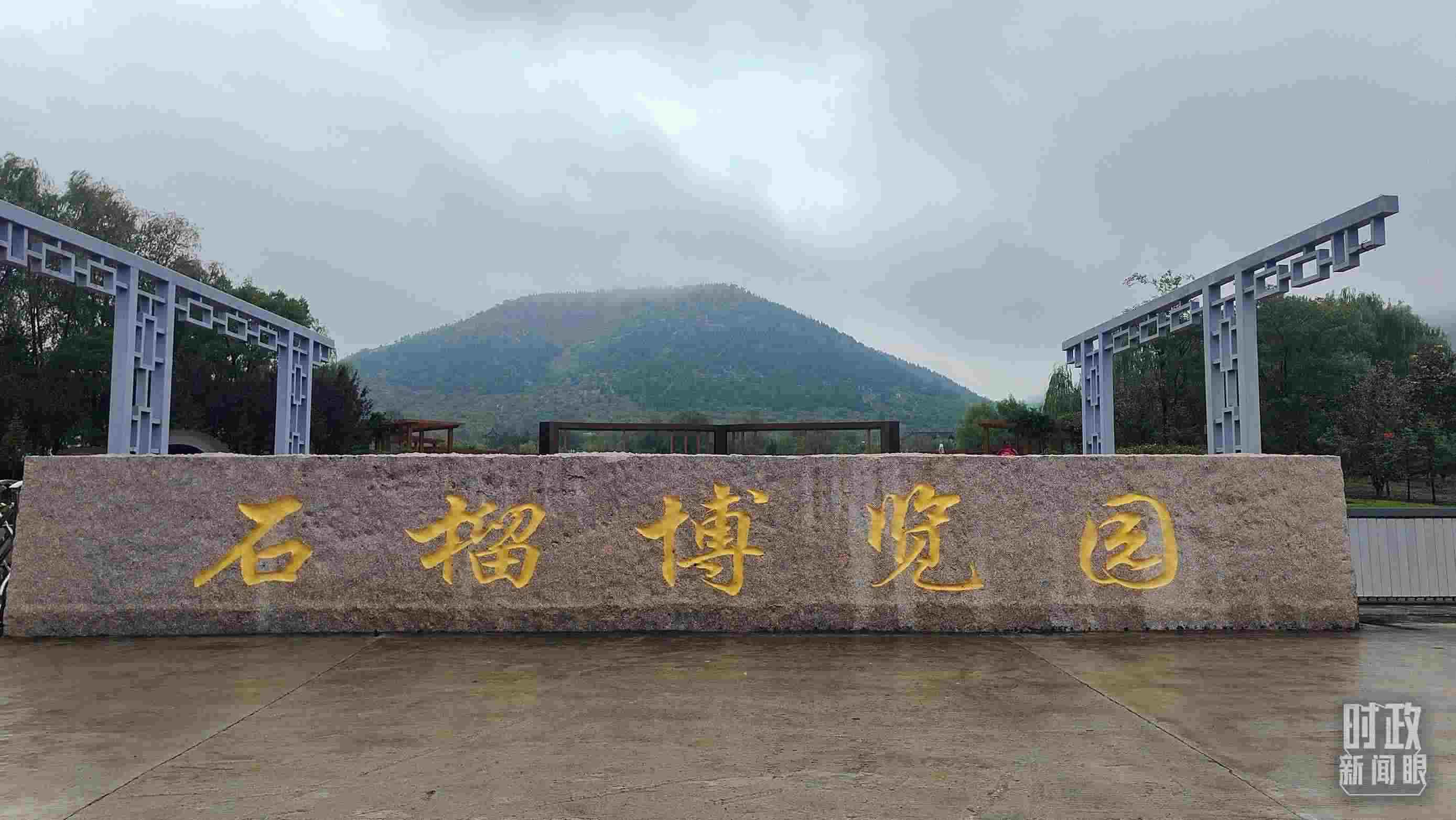 △石榴種質(zhì)資源庫位于石榴博覽園內(nèi)。（總臺央視記者楊立峰拍攝）
