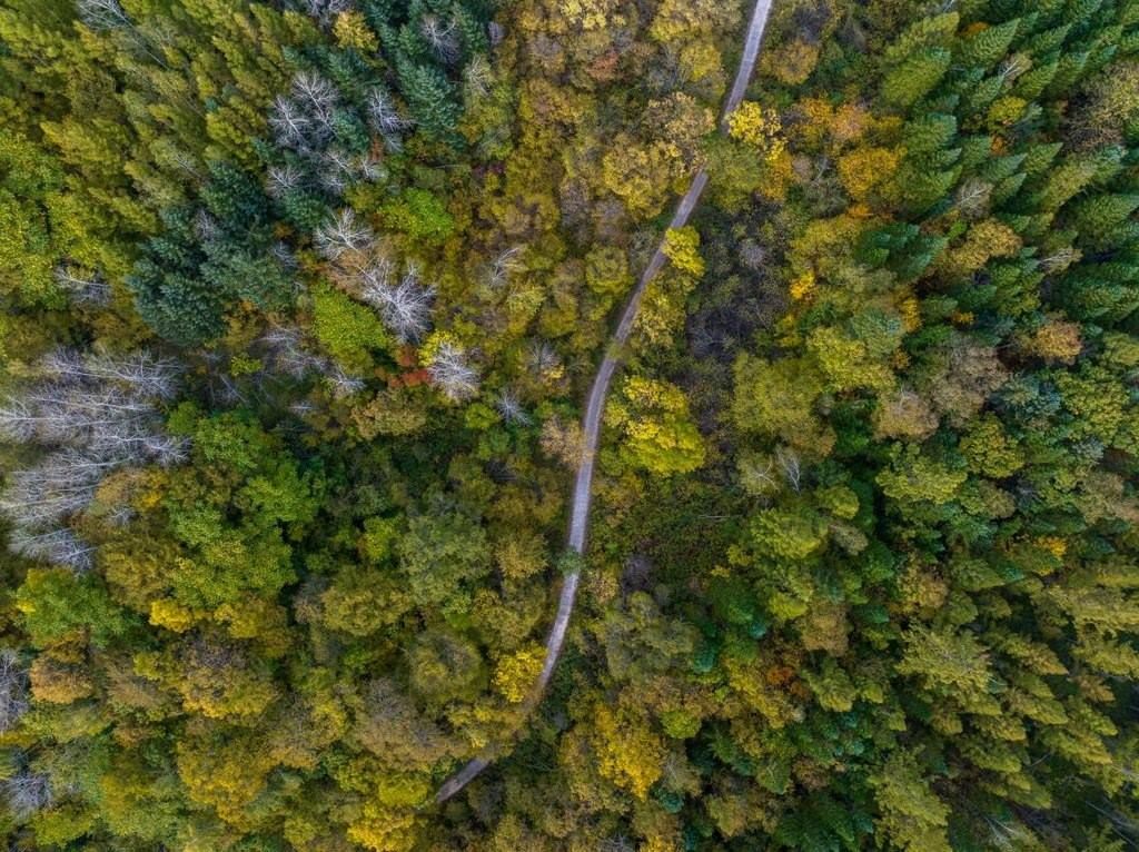 綠意盎然的長白山地區(qū)。王哲攝