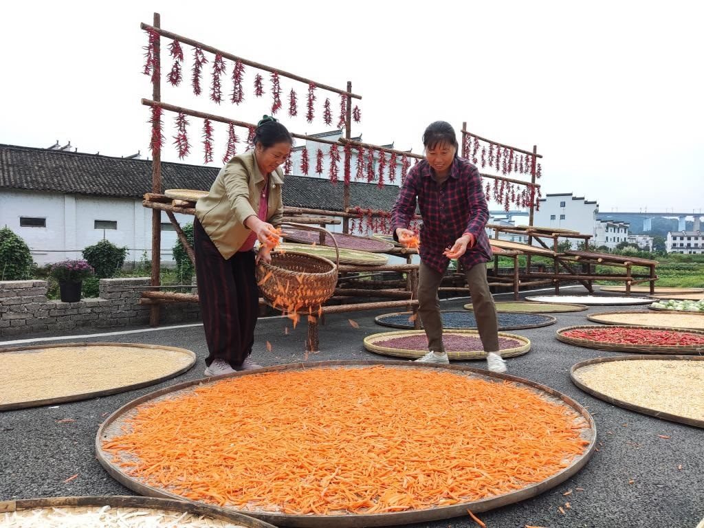 近日，江西省上饒市婺源縣秋口鎮(zhèn)王村的村民正在晾曬農(nóng)作物。新華社記者 劉佳敏 攝