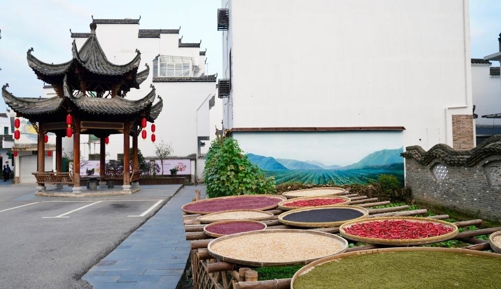 近日拍攝的江西省上饒市婺源縣秋口鎮(zhèn)王村石門自然村曬秋場(chǎng)景。新華社記者 胡晨歡 攝