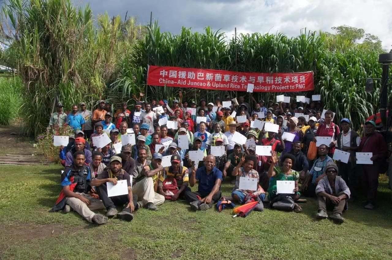 △2020年12月17日，在巴布亞新幾內(nèi)亞東高地省，參加中國援助巴新菌草和旱稻技術(shù)項目第9期培訓(xùn)班的當(dāng)?shù)孛癖娬故窘Y(jié)業(yè)證書。