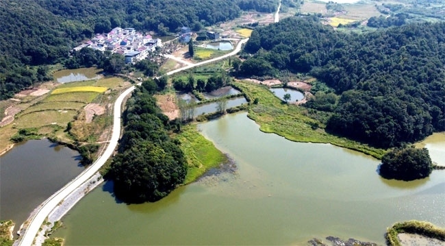 楊金龍用手機(jī)拍攝的道路全景。受訪者供圖