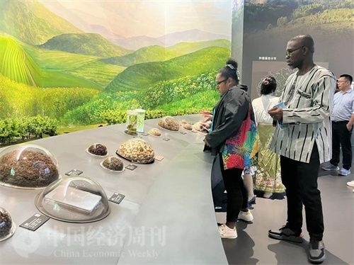  （在中國藥都中醫(yī)藥博物館，外媒記者了解中醫(yī)藥發(fā)展史。中國經(jīng)濟(jì)周刊記者 郭志強(qiáng) 攝）