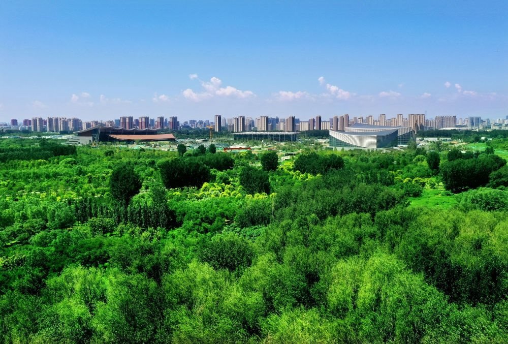 北京東方化工廠(chǎng)舊址建成的綠心公園草木蔥蘢。（馬文曉 攝）