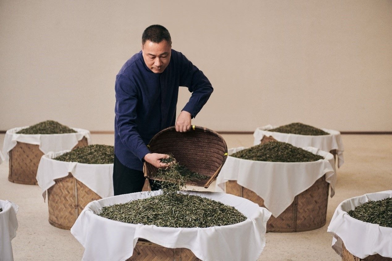 福鼎白茶制作技藝的省級代表性傳承人林振傳在制茶。受訪者供圖