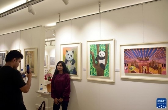 11月22日，在孟加拉國(guó)達(dá)卡，人們?cè)凇皣?guó)家印象”繪畫展上參觀拍照。新華社發(fā)（薩利姆攝）