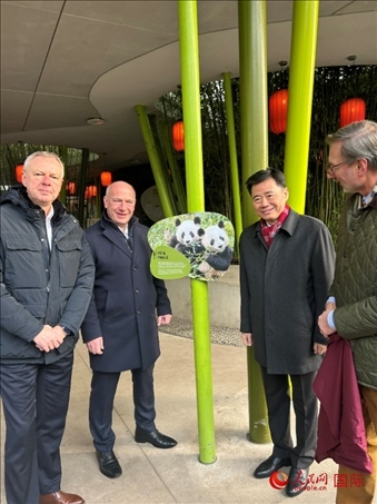 中國駐德國大使吳懇（右二）、柏林市長韋格納（左二）、動物園園長克尼里姆（右一）和監(jiān)事會主席布魯克曼（左一）共同為“夢想”“夢圓”大熊貓紀(jì)念牌揭幕。人民網(wǎng)記者 徐馨攝