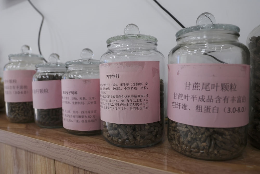 這是12月13日在來賓市興賓區(qū)小平陽鎮(zhèn)一家飼料廠拍攝的以甘蔗尾葉為原料制成的飼料。