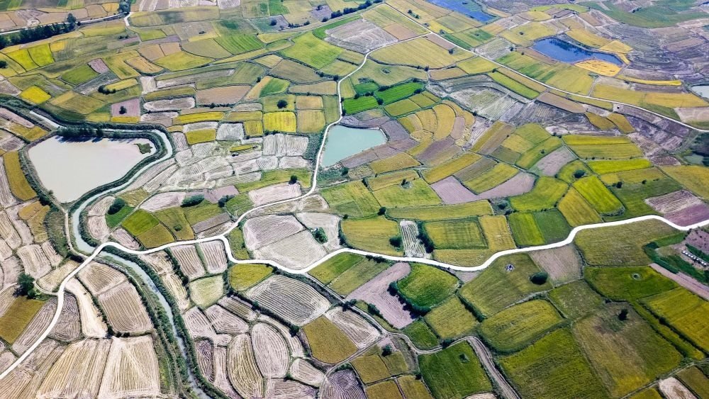 安徽省鳳陽縣小崗村的田野景象（2018年9月27日攝，無人機(jī)照片）。新華社記者 張端 攝