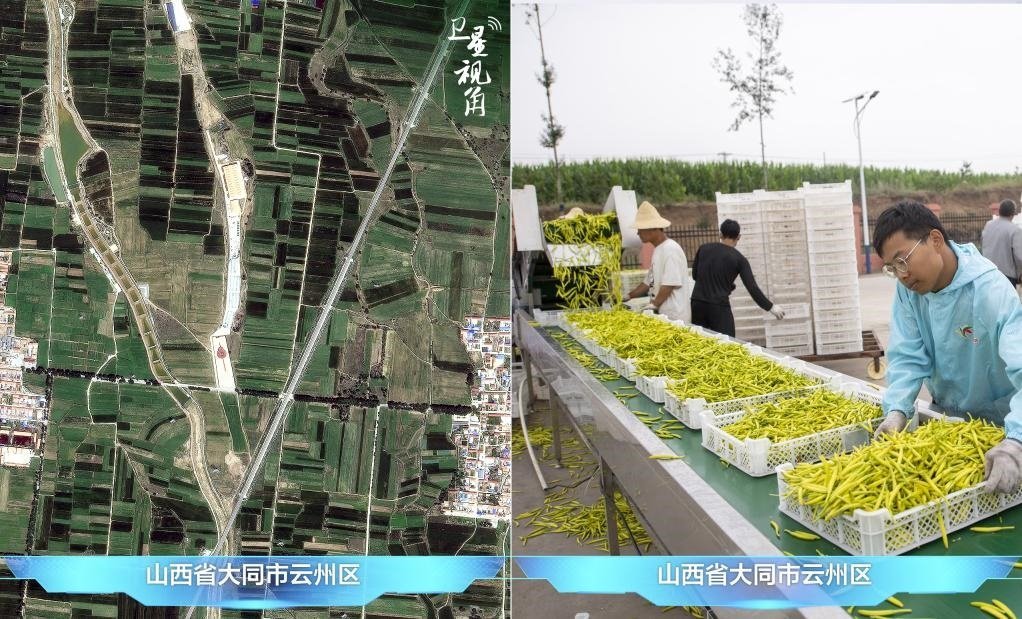 當(dāng)前，大同市開發(fā)黃花菜品、食品、飲品、功能食品、化妝品、文創(chuàng)產(chǎn)品六大系列130余種，全產(chǎn)業(yè)鏈產(chǎn)值超40億元。