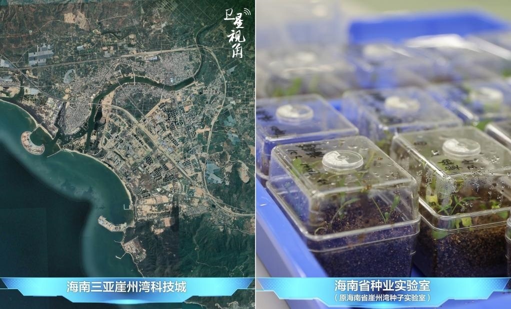 位于三亞崖州灣科技城的海南省種業(yè)實(shí)驗(yàn)室（原海南省崖州灣種子實(shí)驗(yàn)室）將形成輻射全國(guó)和“一帶一路”沿線國(guó)家的種子科學(xué)技術(shù)創(chuàng)新中心。