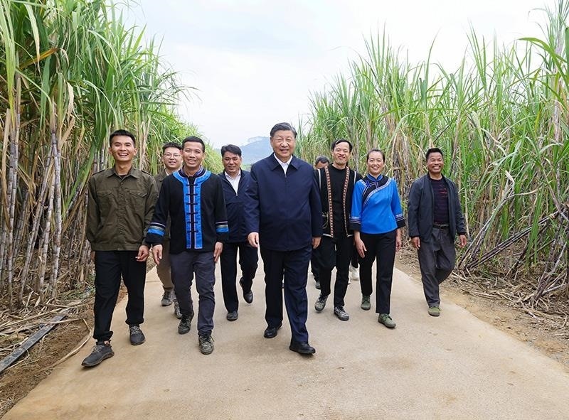 2023年12月14日，習(xí)近平總書記在廣西來賓市國家現(xiàn)代農(nóng)業(yè)產(chǎn)業(yè)園黃安優(yōu)質(zhì)“雙高”糖料蔗基地考察。