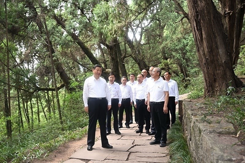 2023年7月25日，習(xí)近平總書記在四川廣元市劍閣縣翠云廊考察。新華社記者 謝環(huán)馳 攝