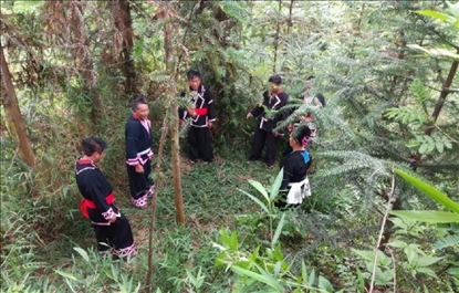 “瑤老”人民調(diào)解員翻山越嶺開展現(xiàn)場(chǎng)調(diào)解。