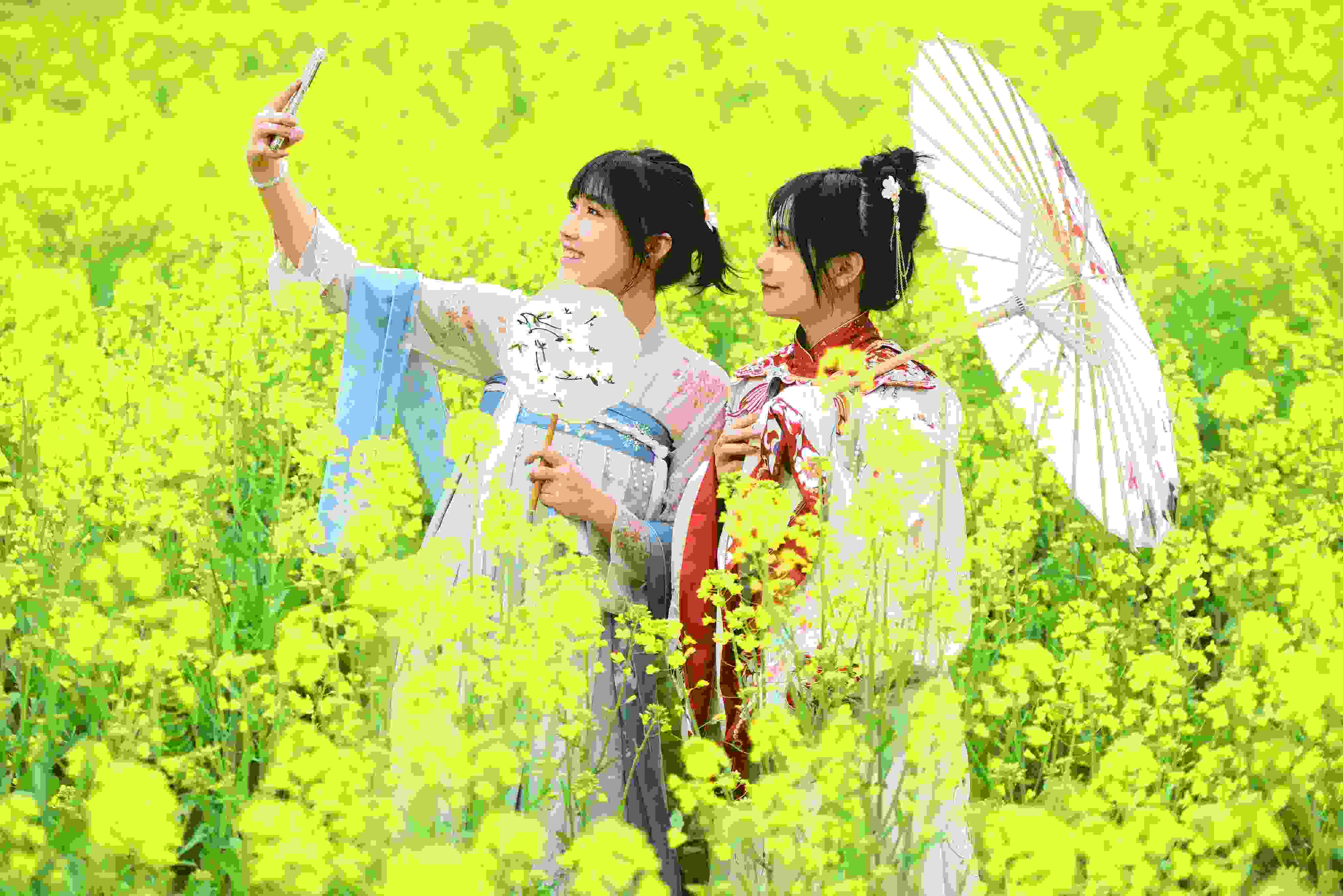 △ 2024年2月16日，廣西賀州，在富川瑤族自治縣麥嶺鎮(zhèn)三民村，游客在油菜花田間賞花拍照。