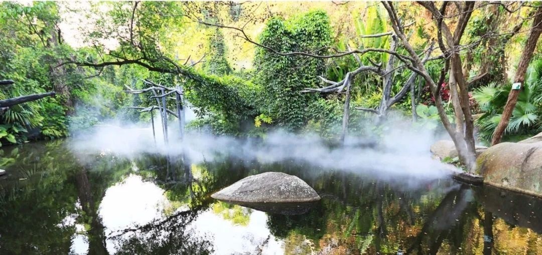 △鼓浪嶼-萬石山風(fēng)景名勝區(qū)重要組成部分廈門園林植物園熱門景點“雨林世界”。