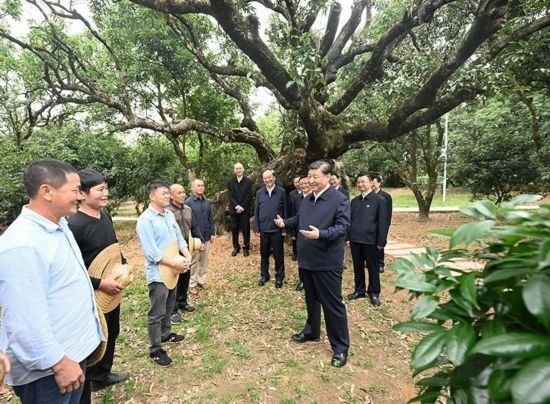 2023年4月11日，習(xí)近平總書記在廣東茂名高州市根子鎮(zhèn)柏橋村荔枝種植園，同現(xiàn)場技術(shù)人員親切交流。