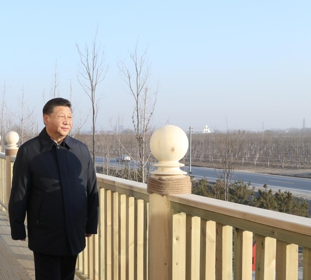 2019年1月16日，在河北雄安新區(qū)“千年秀林”大清河片林一區(qū)造林區(qū)域，習(xí)近平總書記登上秀林驛站二層平臺(tái)遠(yuǎn)眺林區(qū)全貌。新華社記者 鞠鵬 攝