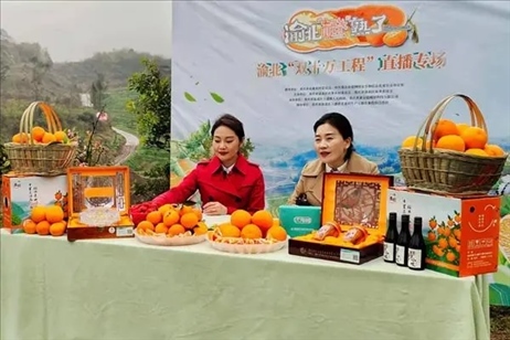 2021年2月26日，在重慶渝北區(qū)大盛鎮(zhèn)青龍村舉辦的直播活動(dòng)現(xiàn)場(chǎng)。