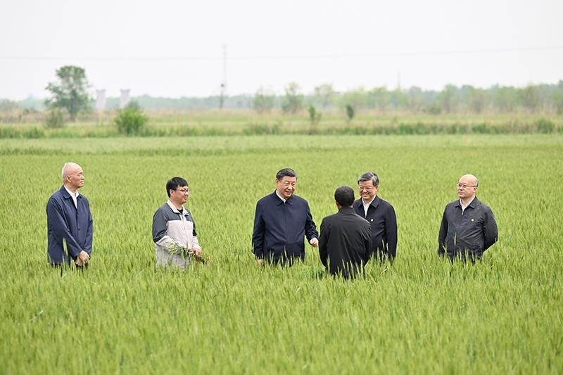 △2023年5月11日，習(xí)近平總書記在河北滄州黃驊市舊城鎮(zhèn)仙莊片區(qū)旱堿地麥田同種植戶、農(nóng)技專家親切交流。