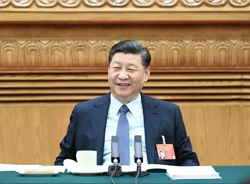 2019年3月8日，習(xí)近平參加十三屆全國人大二次會議河南代表團(tuán)的審議。新華社記者 謝環(huán)馳 攝
